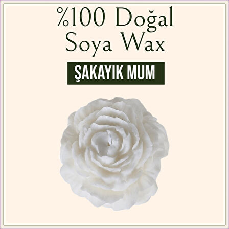 2'li Şakayık Dekoratif Sandal Kokulu %100 Doğal Soya Wax Mum