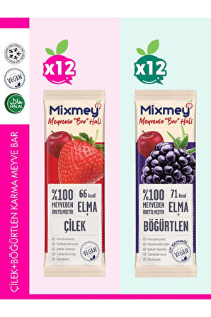 Çilek + Böğürtlen Karma Meyve Bar | Vegan, Doğal ve Glutensiz Sağlıklı Atıştırmalık 20g x 24 Adet