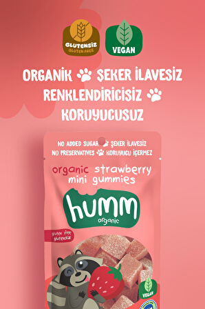 Organik Glutensiz Vegan Çilekli Mini Küpler Atıştırmalık Paketi - 6 Adet