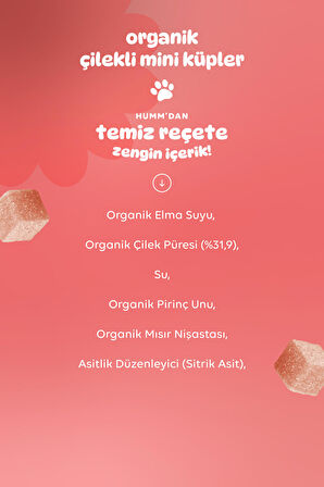 Organik Glutensiz Vegan Çilekli Mini Küpler Atıştırmalık Paketi - 6 Adet