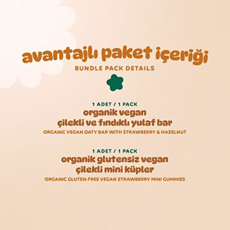 Organik Vegan Çilekli Atıştırmalık Paketi - 2 adet (2 çeşit)