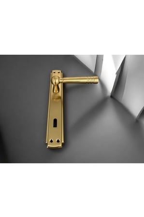 Osmanlı Handles Mat Skoç Titanyum Lüx Aynalı Oda Kapı Kolu 1 Takım