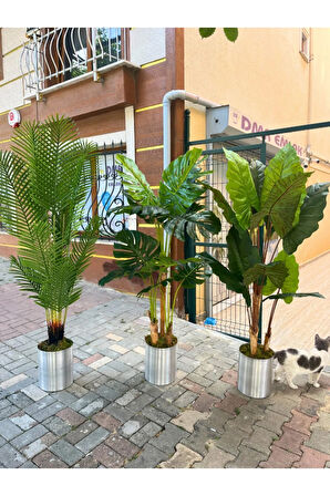 Yapay Areka Ağacı & Yapay Monstera Ağacı & Yapay Fil Kulağı Ağacı