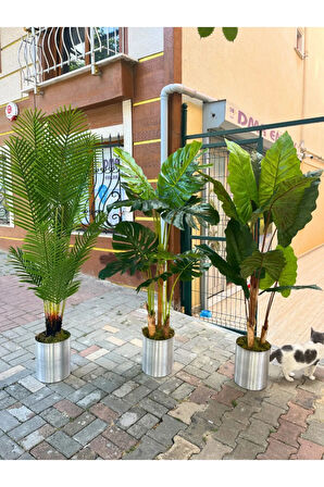 Yapay Areka Ağacı & Yapay Monstera Ağacı & Yapay Fil Kulağı Ağacı