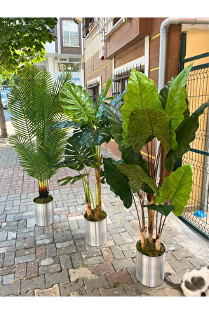 Yapay Areka Ağacı & Yapay Monstera Ağacı & Yapay Fil Kulağı Ağacı