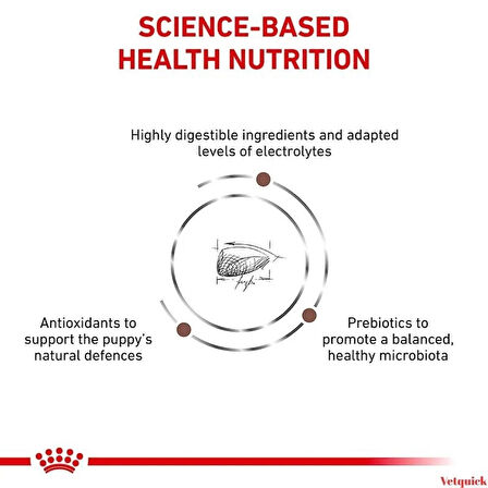 Royal Canin Gastrointestinal Yavru Köpek Kuru Mama