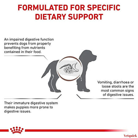 Royal Canin Gastrointestinal Yavru Köpek Kuru Mama