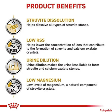 Royal Canin Urinary S/O Köpek Maması 2kg