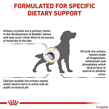 Royal Canin Urinary S/O Köpek Maması 2kg