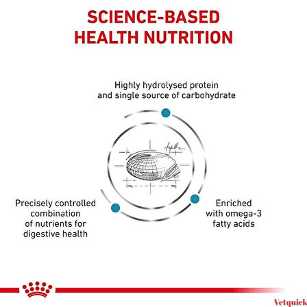 Royal Canin Hypoallergenic Köpek Maması 2 kg