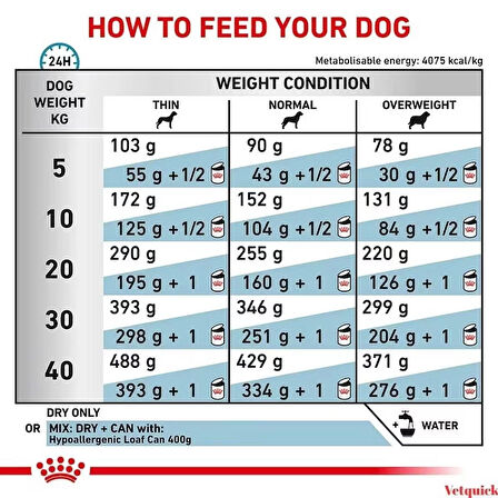 Royal Canin Hypoallergenic Köpek Maması 2 kg