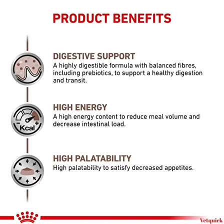 Royal Canin Gastrointestinal Yetişkin Köpek Maması - 2 kg