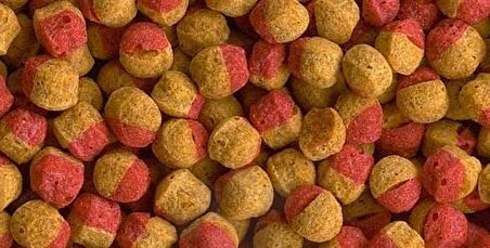 Tetra Cichlid Colour Mini Granules 100 Gr. Açık Kovadan Bölme