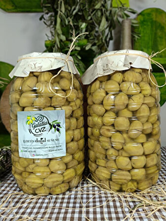 Aydın Yöresi Domat Cinsi Sofralık Tatlandırılmış Kırma Yeşil Zeytin 2+2 Kg