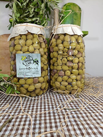 Aydın Yöresi Mudanya Cinsi Sofralık Tatlandırılmış Çizik Zeytin (2+2 Kg)