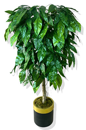 Yapay Yeşil Ceviz Ağacı 160 Cm Gold Kemerli 25x25 Saksı