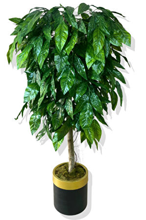Yapay Yeşil Ceviz Ağacı 160 Cm Gold Kemerli 25x25 Saksı