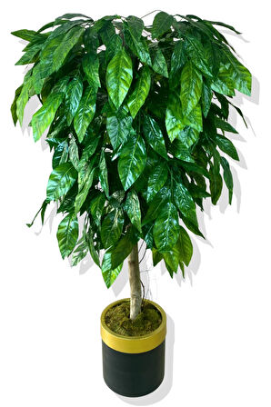 Yapay Yeşil Ceviz Ağacı 160 Cm Gold Kemerli 25x25 Saksı