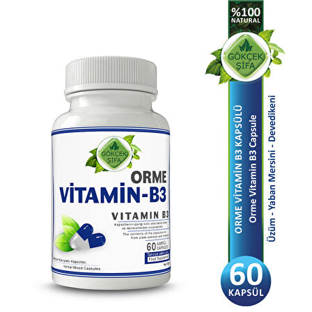 Orme Vitamin B3 Kapsül (VİTAMİN B3 CAPSULE) 60 Adet