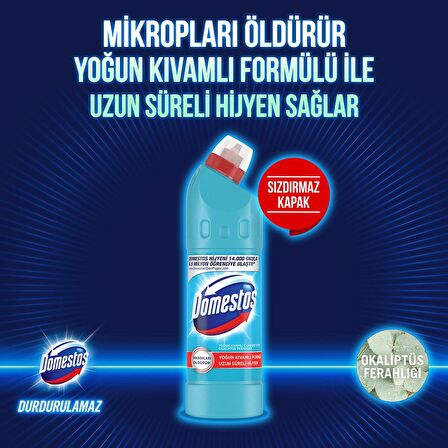 Domestos Yoğun Kıvamlı Çamaşır Suyu Okaliptüs Ferahlığı 750 ml x 3 Adet