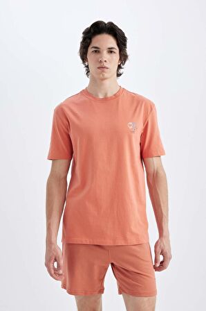 DeFacto Regular Fit Bisiklet Yaka Baskılı Kısa Kollu Tişört C5650AX24HSOG187