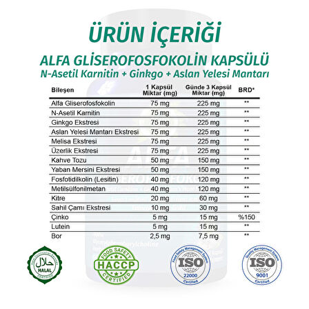 Alfa Gliserofosfokolin Kapsül (ALPHA GLYCERYLPHOSPHORYLCHOLİNE CAPSULE)