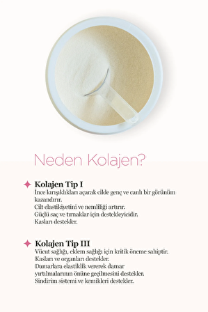 Collagen Peptides – Onarıcı Destek – Katkısız Içerik – Nötr Tat – 300 gr