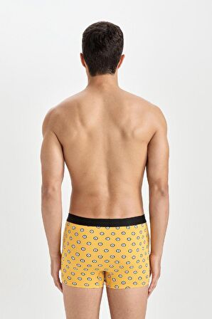 DeFacto Regular Fit 3'lü Boxer D2328AX24AUBE43
