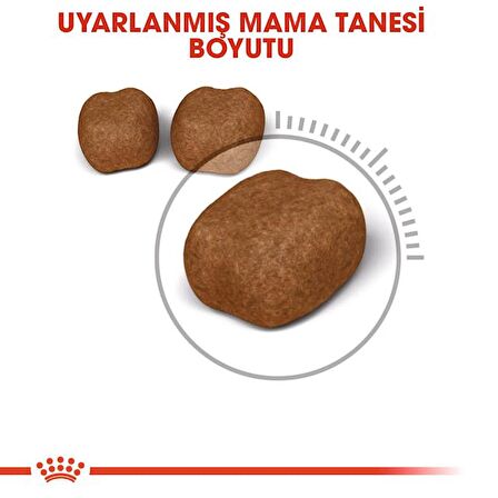 Royal Canin Dental Care Diş Sağlığı için Kuru Kedi Maması 1.5kg