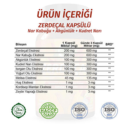 Zerdeçal Kapsül (Turmeric Capsule)