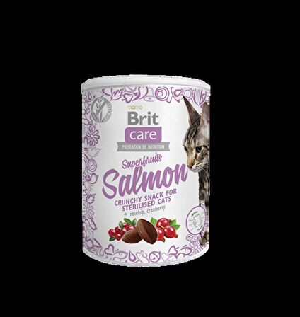 Brit Kızılcık - Somonlu Granül Yetişkin Kedi Ödülü 100 g 