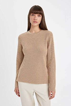 DeFacto Regular Fit Bisiklet Yaka Simli Kumaş Triko Kazak D0405AX24WNBG647