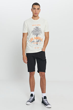 Standart Fit Normal Kesim %100 Pamuk Bisiklet Yaka Tişört