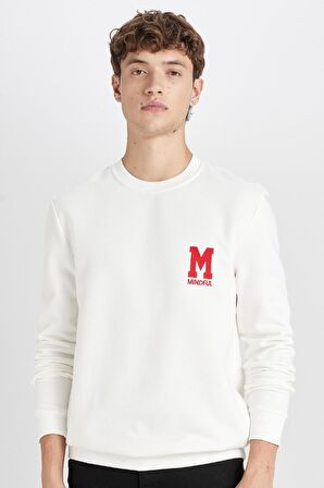 DeFacto New Regular Fit Bisiklet Yaka Baskılı Kalın Sweatshirt D3670AX24AUWT32