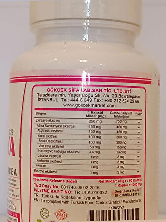 Ekinezya Kapsül (Echinacea Capsule) 