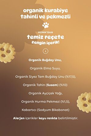 Humm Organic Organik Vegan Tahinli ve Pekmezli Kurabiye - 55g