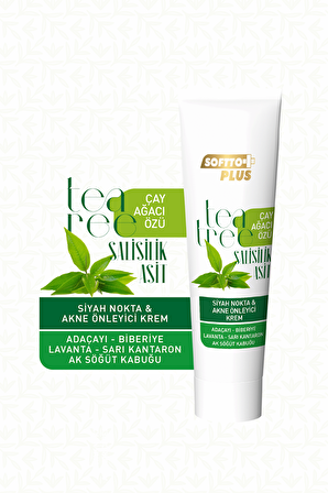 SOFTTO PLUS ÇAY AĞACI ÖZLÜ SİYAH NOKTA VE AKNE ÖNLEYİCİ KREM