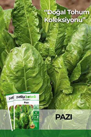 400 Adet Yerli Ata Geniş Yaprak Pazı Tohumu (10 Gram)