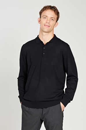 Standart Fit Normal Kesim Polo Yaka Triko Kazak