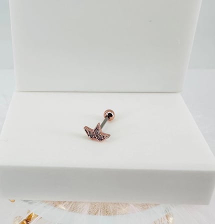 Rose Zirkon Taşlı Uç Kısmı : Pirinç Kıkırdak Bar Uzunluğu : 6 Mm / Bar Kalınlığı 0.8 Mm / Top Boyu 3