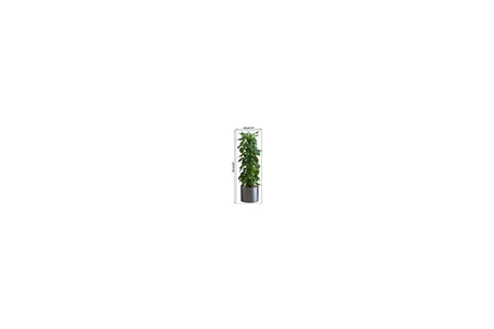 Saksılı Bitki Tasarımlı Yapışkanlı Sticker Resim 90*30 cm MC-665