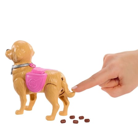 JJB46 ve Köpekçiğin Yürüyüş Zamanı