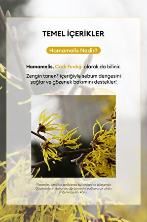Yağlanma ve Gözenek Karşıtı Kağıt Maske APIEU Hamamelis Sheet Mask