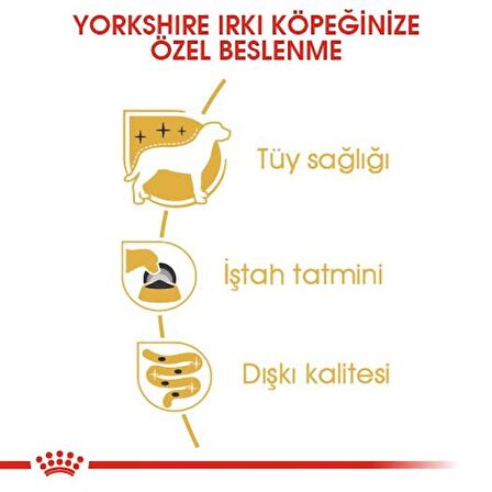 Royal Canin Yorkshire Terrier Yaş Köpek Maması 85g