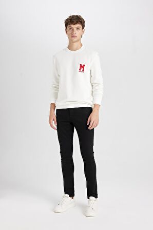 DeFacto New Regular Fit Bisiklet Yaka Baskılı Kalın Sweatshirt D3670AX24AUWT32