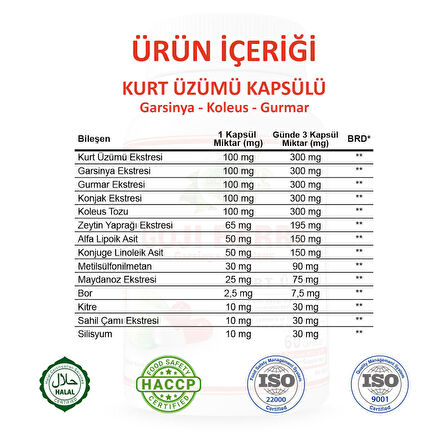 Gökçek Şifa Kurt Üzümü (Goji Berry) Kapsül