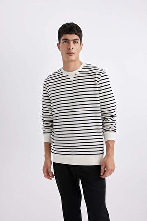 DeFacto Modern Fit Bisiklet Yaka Çizgili Sweatshirt B6498AX24SPWT32