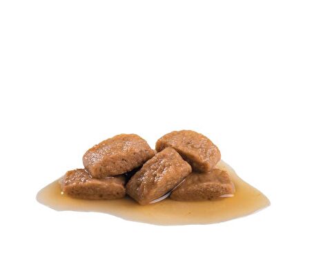 Royal Canin Büyük Irklar için Yaş Köpek Maması 140g