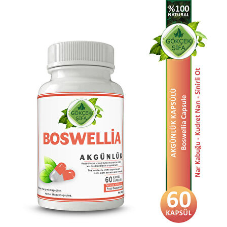 Gökçek Şifa Akgünlük (Boswellia) Kapsül