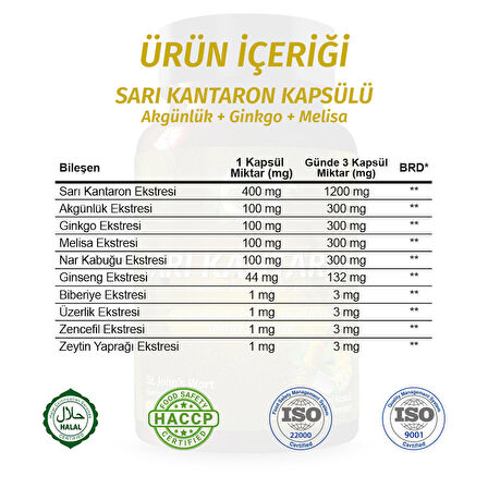 Sarı Kantaron Kapsül (ST JOHN'S WORT CAPSULE)